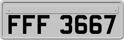 FFF3667