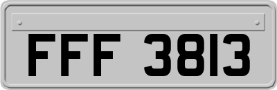 FFF3813