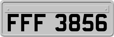 FFF3856