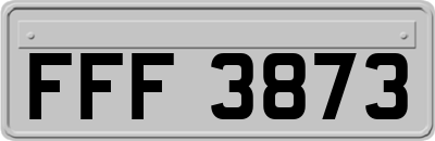 FFF3873