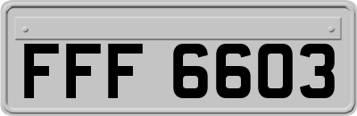 FFF6603