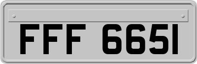 FFF6651