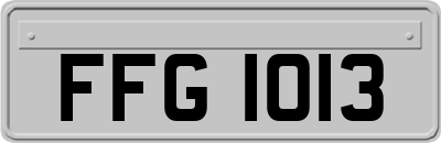 FFG1013