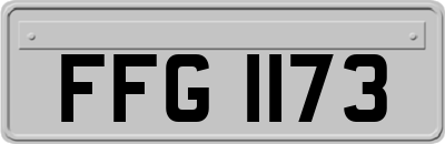 FFG1173