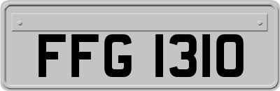 FFG1310