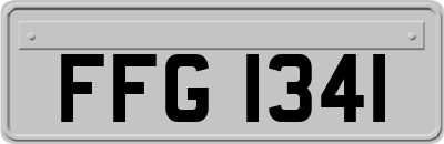 FFG1341