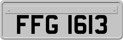 FFG1613