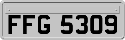 FFG5309