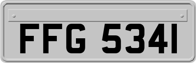FFG5341