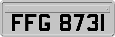 FFG8731