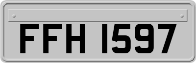 FFH1597