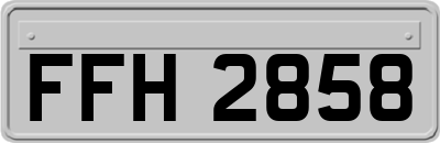 FFH2858