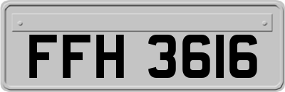 FFH3616