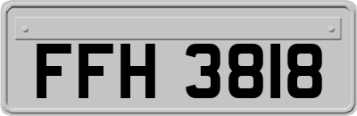 FFH3818