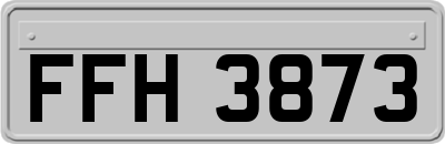 FFH3873