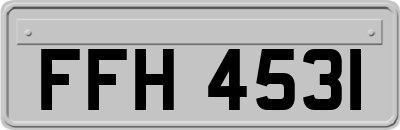 FFH4531