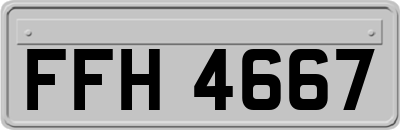 FFH4667