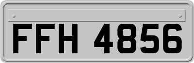 FFH4856