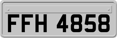 FFH4858