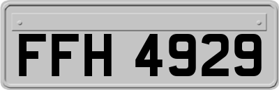 FFH4929