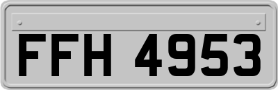 FFH4953