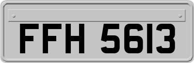 FFH5613