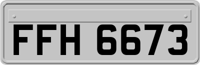 FFH6673