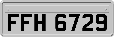 FFH6729