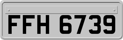FFH6739