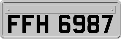 FFH6987