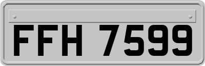 FFH7599