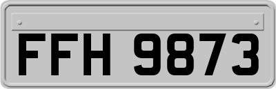 FFH9873