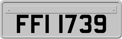 FFI1739
