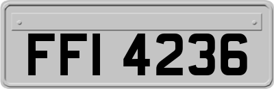 FFI4236