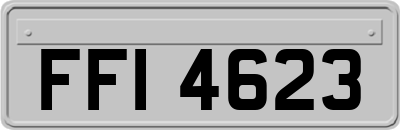 FFI4623