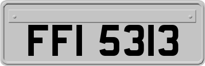 FFI5313
