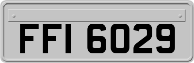 FFI6029