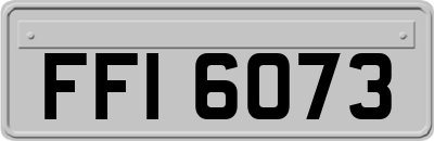 FFI6073