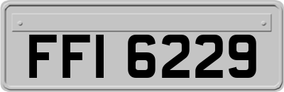 FFI6229
