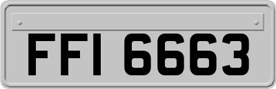 FFI6663