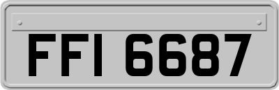 FFI6687