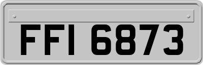 FFI6873