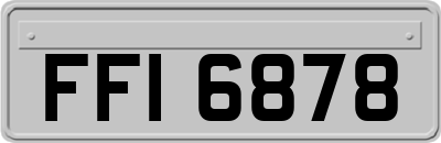 FFI6878
