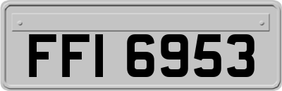 FFI6953