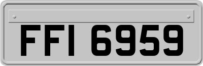 FFI6959