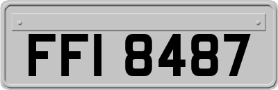FFI8487