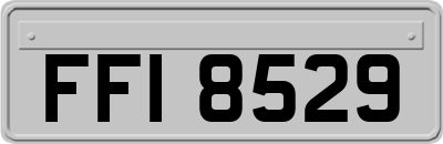 FFI8529