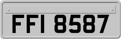 FFI8587