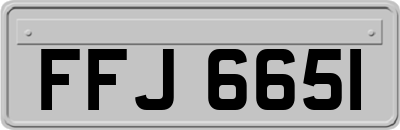 FFJ6651
