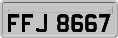 FFJ8667